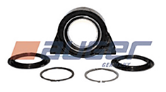 Подшипник подвесной MAN - D=100mm
